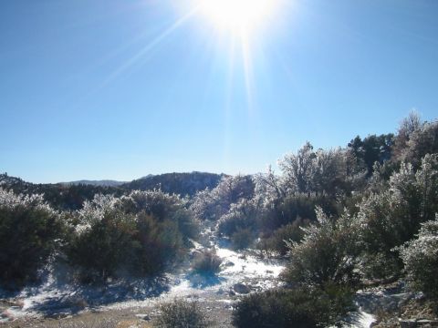 1985 Ford Bronco - A winter scene with trees covered in ice and snow under a bright, sunny sky. The Supermotors logo is visible in the lower right corner.