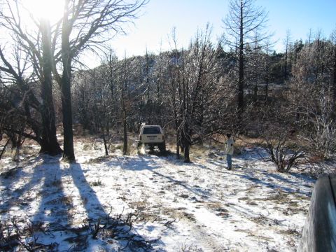 1985 Ford Bronco - A white SUV drives through a snowy, wooded landscape under a bright sun.
