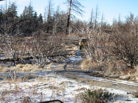 1985 Ford Bronco - tree fell on top of the trail from the fire