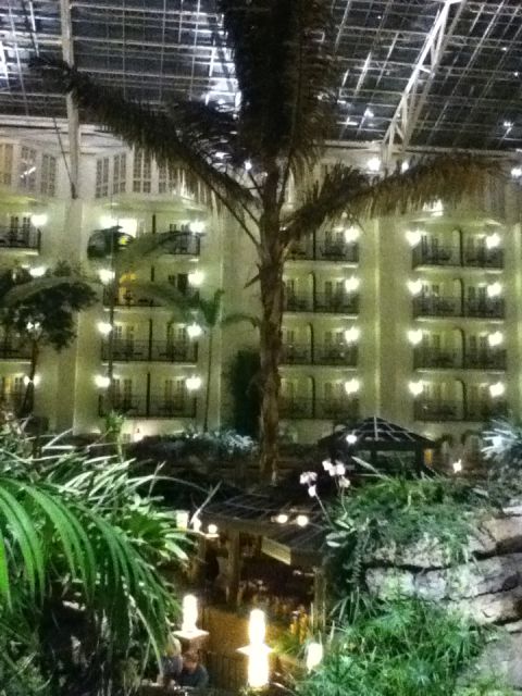 2006 Ford E350 - Nashville Opryland Hotel