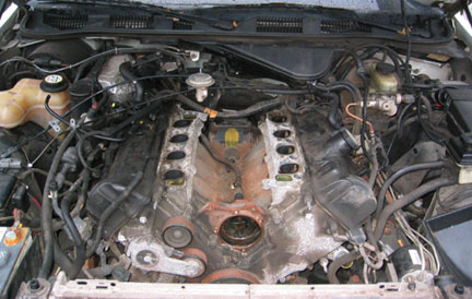 1996 Ford Crown Victoria - Engine bay of a vehicle, with the intake manifold removed for maintenance or repair.