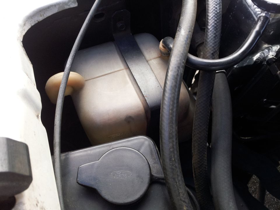 Radiator overflow tank with Ford logo on cap, surrounded by hoses