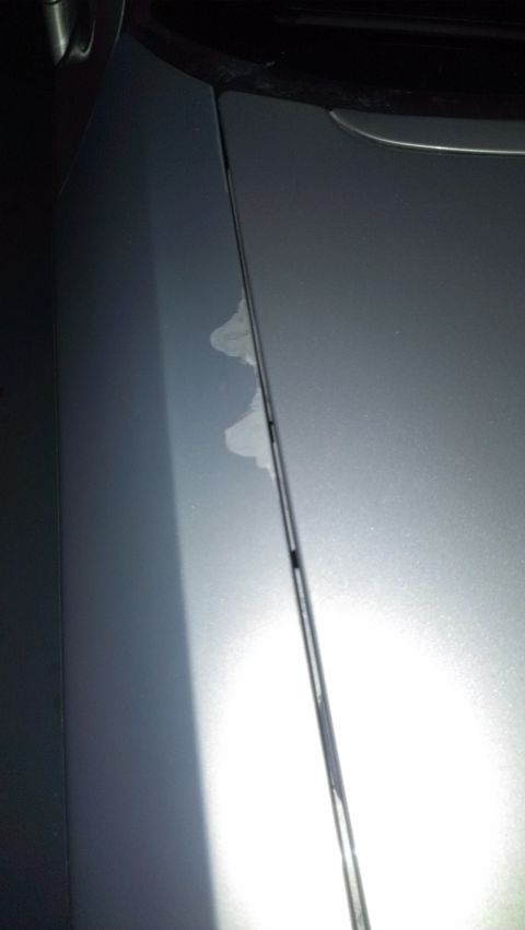 1996 Lincoln Town Car - Close-up of a car's door seam shows damage and a website watermark.