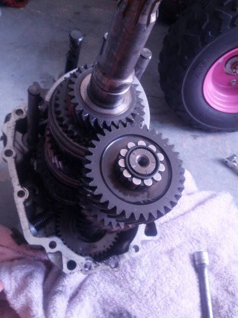 1989 BMW 3 Series - Close-up view of internal transmission gears, with a pink-rimmed wheel visible in the background.