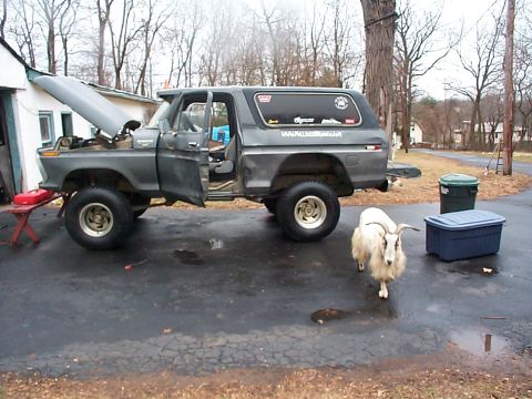 1979 Ford Bronco - My assistant Billy