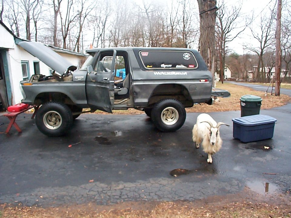 1979 Ford Bronco in 2004