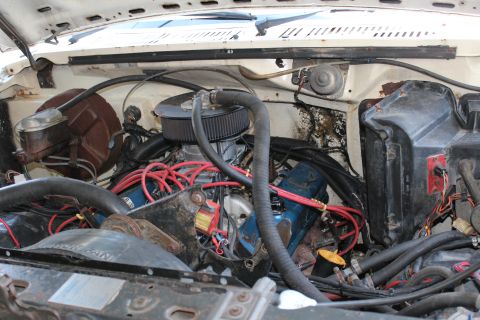 1982 Ford Bronco - Engine bay view of a 1982 Ford Bronco, showing the engine with blue valve covers and an aftermarket air filter.