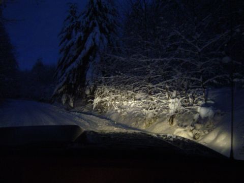 1989 Ford Bronco - Snow trip!!
