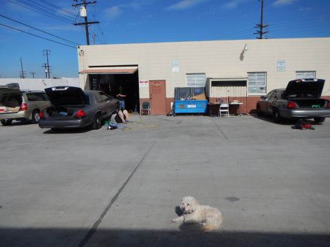 2003 Ford Crown Victoria - Two Crown Victoria sedans sit with trunks open outside an industrial building while a fluffy white dog lies on the sunny pavement.