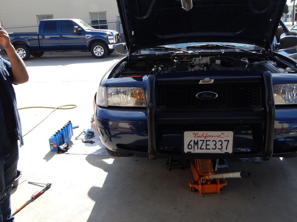 Front of a blue Ford Crown Victoria with hood up and brush guard, on a jack, white Ford Super Duty behind