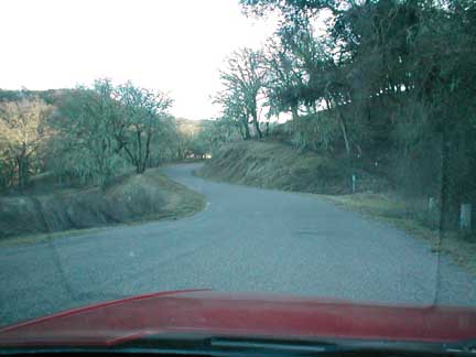 1994 Ford Crown Victoria - A view from inside a vehicle looking out at a scenic drive through a wooded area.