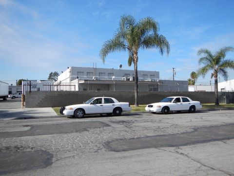 2003 Ford Crown Victoria - Two white Ford Crown Victoria sedans parked at the curb in front of a white building and palm trees under a blue sky.