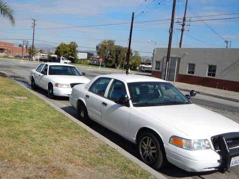 2003 Ford Crown Victoria - Two white Ford full-size sedans parked nose-to-tail along a roadside curb with buildings and power lines in the background.
