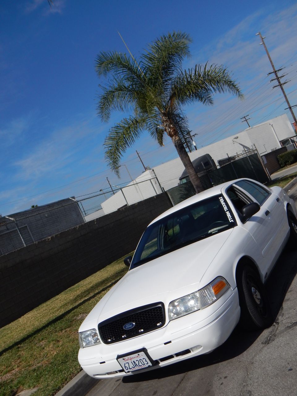 White Ford Crown Victoria sedan parked by a palm tree under blue sky