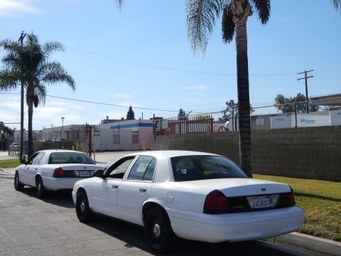 2003 Ford Crown Victoria - Two white Ford Crown Victoria sedans parked single file along a curb beside a palm tree and industrial buildings.
