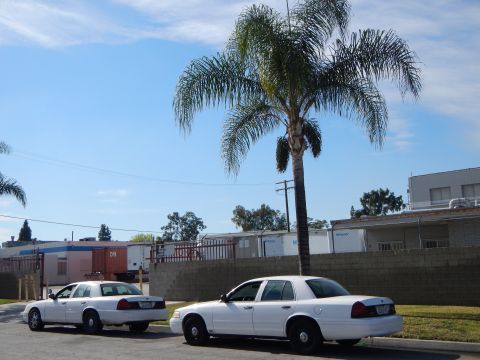 2003 Ford Crown Victoria - Two white sedans parked at angles in an industrial lot beside a tall palm tree under a blue sky.
