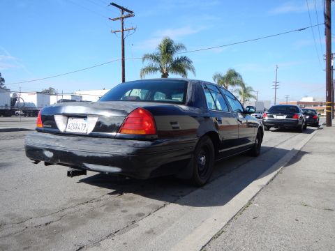2003 Ford Crown Victoria - black Ford sedan with a scuffed rear bumper and steel wheels, photographed from behind at a curb with palm trees beyond.