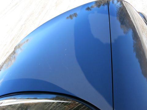 2001 Ford Crown Victoria - Close-up view of the hood and fender of a blue vehicle, showing reflections of the surrounding environment.