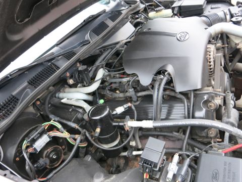 2001 Ford Crown Victoria - Engine bay of a 2001 Ford Crown Victoria, showing the 4.6L V8 engine.