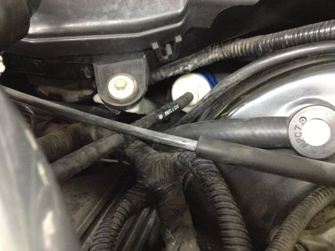2004 Ford Crown Victoria - Engine bay detail showing various hoses, wiring harnesses, and a small white filter with a blue cap.