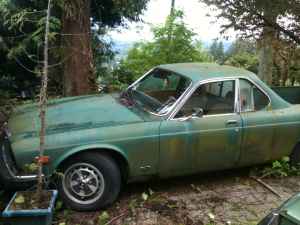 1972 Ford Ranchero - This weathered coupe utility vehicle sits outdoors, surrounded by vegetation and trees.