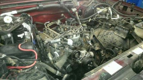 1996 Ford Bronco - The engine bay is cluttered with hoses, wires, and mechanical components, suggesting ongoing maintenance or repair.
