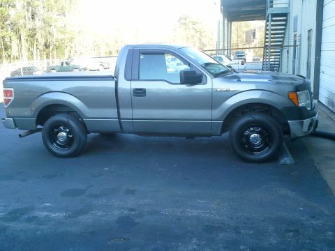 2013 Ford F-150 photo