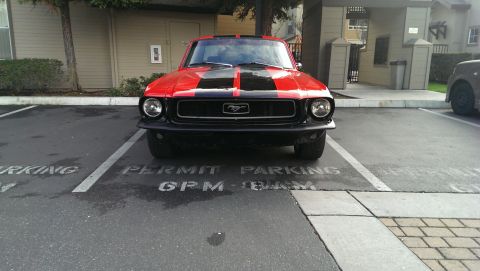 1987 Ford Bronco - A classic red Ford Mustang with black stripes is parked in a permit parking spot.