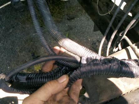 1982 Ford Bronco - A hand inspects a damaged engine wiring harness, revealing frayed wires within the protective conduit.
