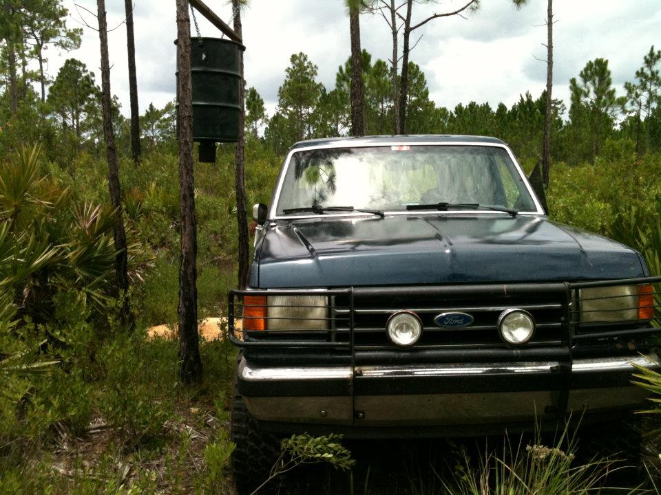 Dark blue Ford Bronco with brush guard and round lights parked in pine scrub near a hanging barrel feeder