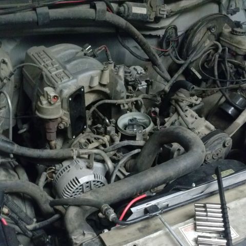 1995 Ford Bronco - The engine bay of a 1995 Ford Bronco is visible, with the intake manifold and alternator clearly identifiable.