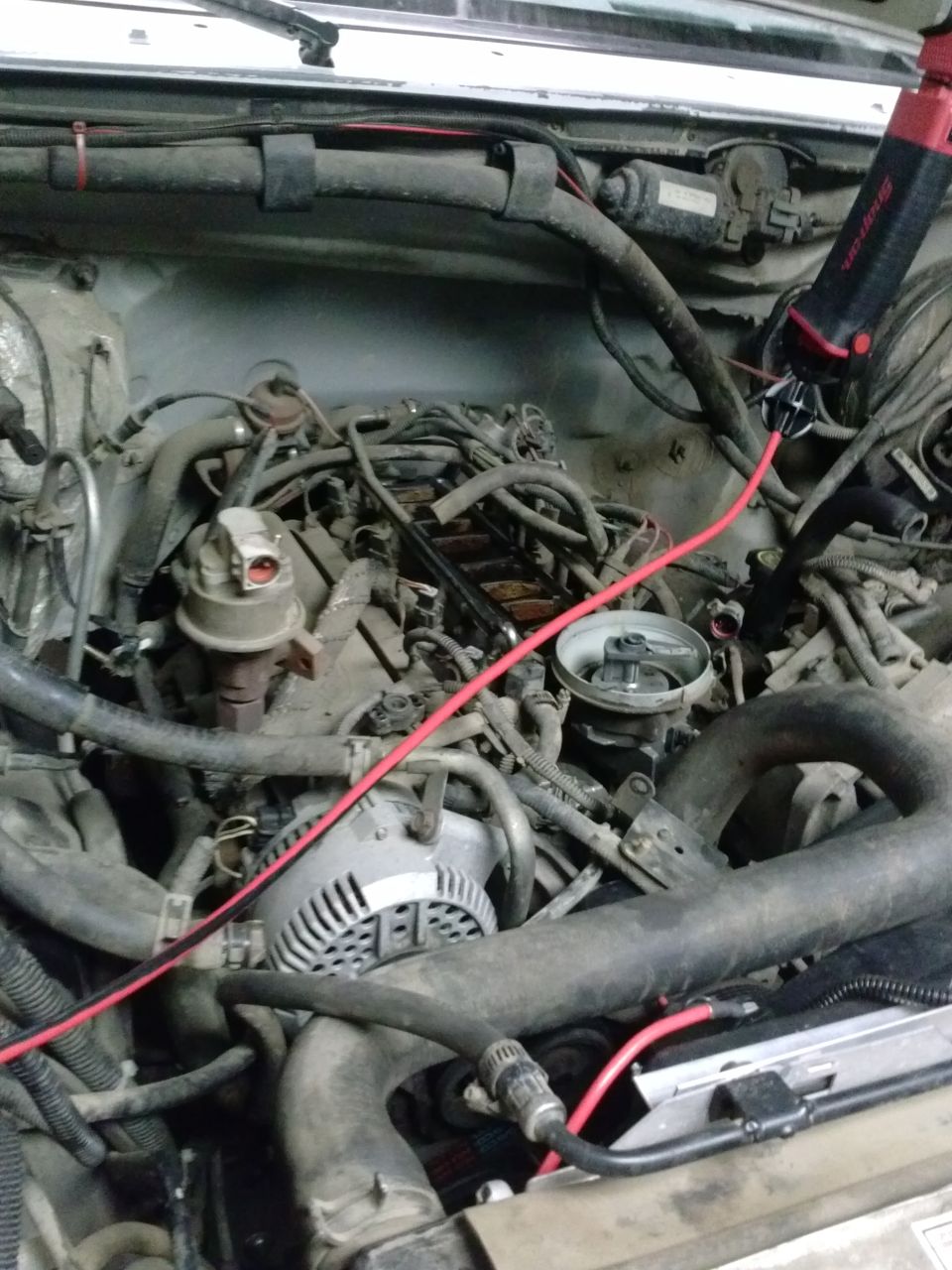 Engine bay with distributor cap and alternator visible