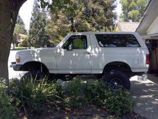 1995 Ford Bronco - This 1995 Ford Bronco is parked on rocks, partially obscured by a tree.