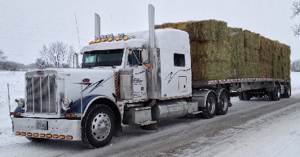 2003 Peterbilt 379 - Peterbilt 379 semi-truck hauling a large load of hay bales in snowy conditions.