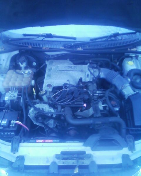 1999 Ford Fairlane - The engine bay of a vehicle is shown, with various components and hoses visible.