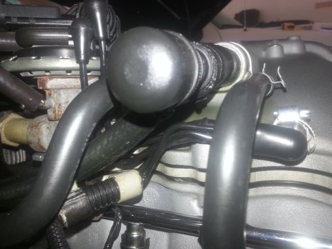 2003 Mercury Marauder - Close-up view of engine components with various hoses and a black cap.