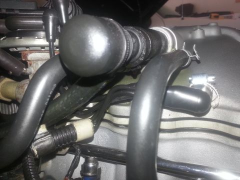 2003 Mercury Marauder - Close-up view of various hoses and clamps within an engine bay.
