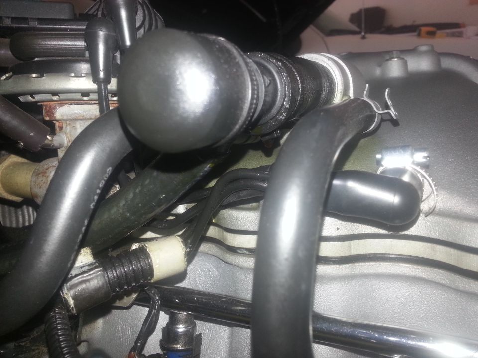 Engine bay hoses and clamps