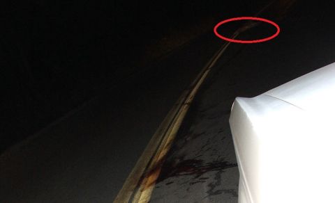2006 Honda Reflex - A deer lies on the road, its body marked by blood, as seen from the perspective of a white vehicle.