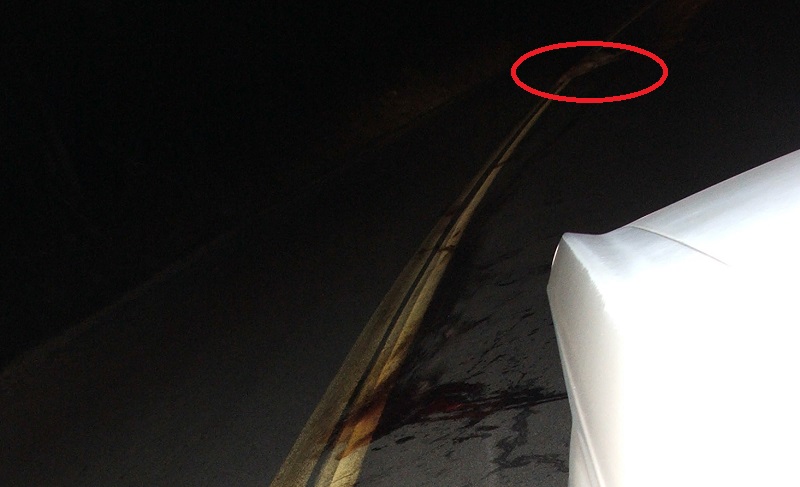 Deer carcass on road with blood splatter, viewed from above and behind a white vehicle