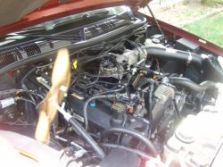 2004 Ford Crown Victoria - Engine bay of a 2004 Ford Crown Victoria, showing the V8 engine and associated components.