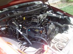 2004 Ford Crown Victoria - The engine compartment of a red Ford Crown Victoria, with the hood open, revealing the V8 engine and various hoses and components.