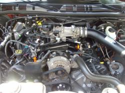 2004 Ford Crown Victoria - Close-up view of the engine compartment of a 2004 Ford Crown Victoria, highlighting the air intake system.