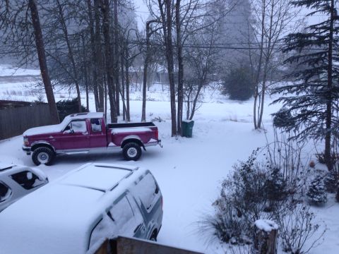 1992 Ford F-150 - First real snow in years.