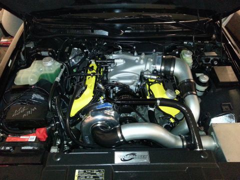 2003 Mercury Marauder - Engine detailed for upcoming car show.