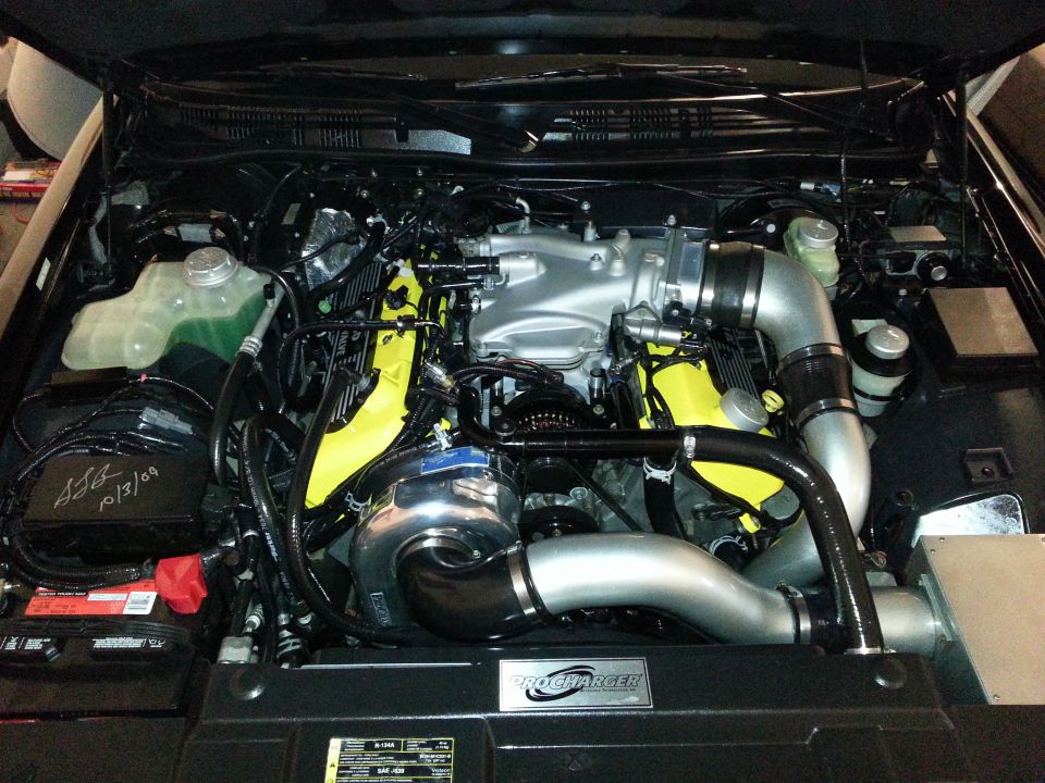 Engine detailed for upcoming car show.