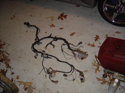 1986 Ford Bronco - A disassembled wiring harness lies on a concrete surface, scattered with autumn leaves.