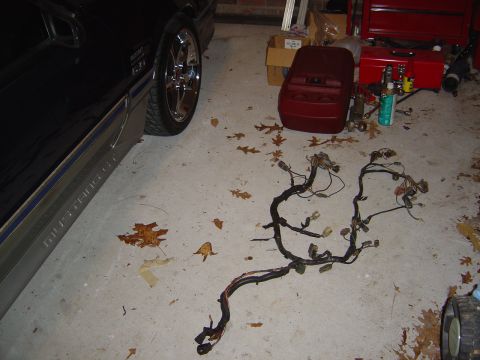1986 Ford Bronco - Wiring harness laid out on a concrete floor, with a black 1986 Ford Mustang visible on the left.