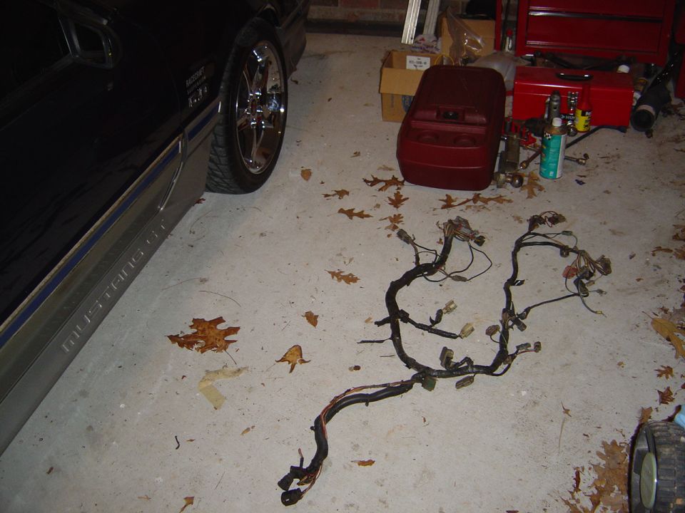 1986 Ford Mustang wiring harness on garage floor next to a black Mustang