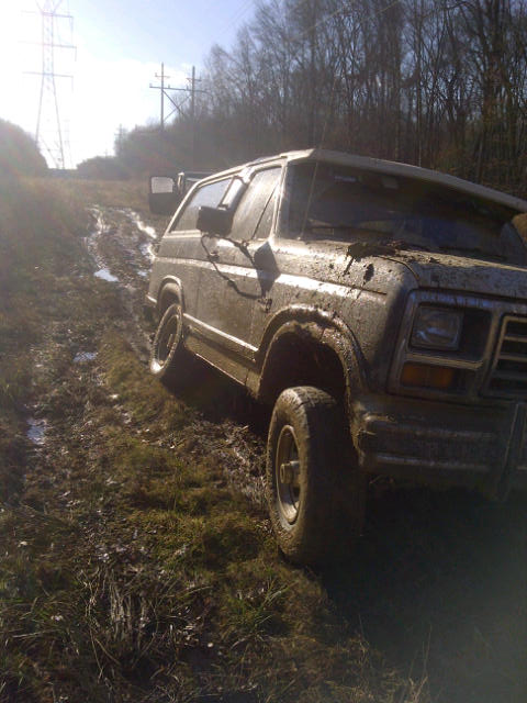 1986 Ford Bronco photo
